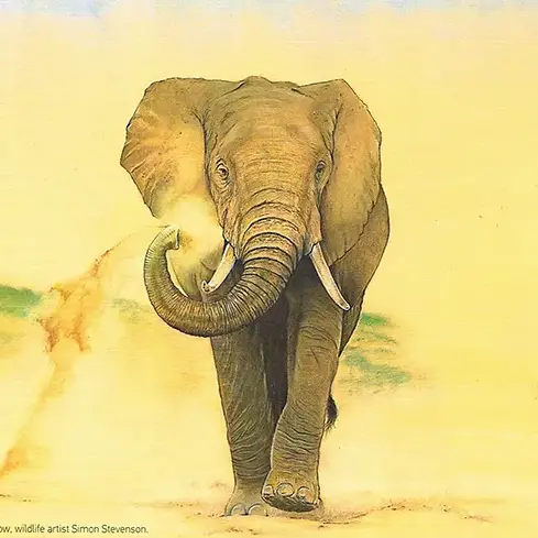 Artwork appears in Shropshire Magazine