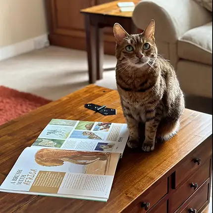 Latest Magazine Article