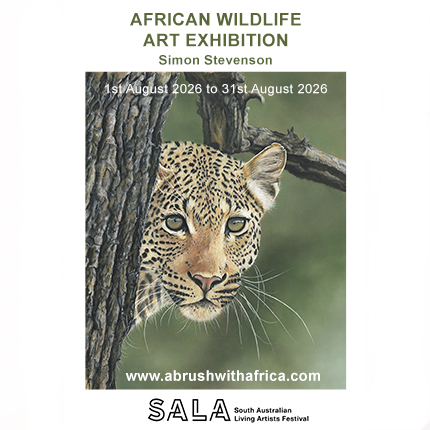 SALA - South Australian Living Artists Festival