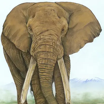 The Last of the Big Tuskers: Tolstoy