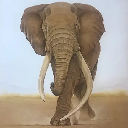 The Last of the Big Tuskers: One Ton
