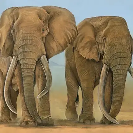 The Last of the Big Tuskers: Double Trouble