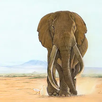 Icons of the Amboseli