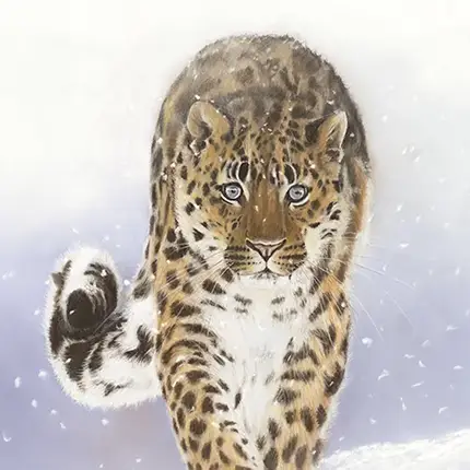 Out of the snow