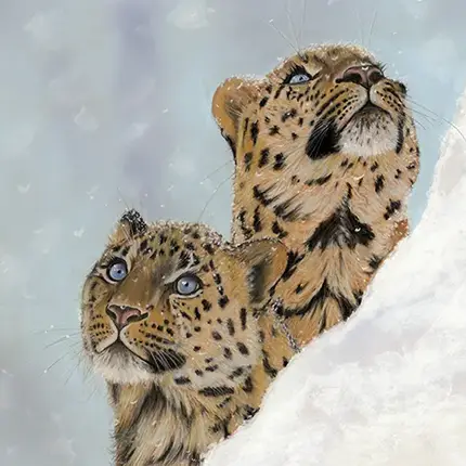 Catching snow flakes