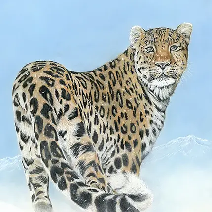 A Fleeting Encounter