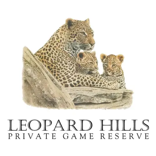 Leopard Hills displays artwork