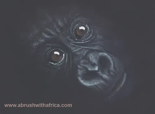 Artwork at Dian Fossey Gorilla Fund