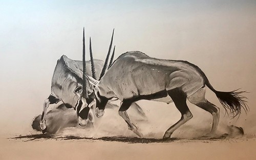 Wildebeest & Antelope