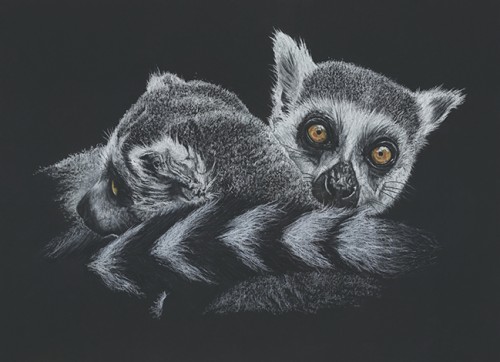 Browsing all Small Animals