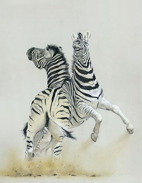 Browsing all Zebras