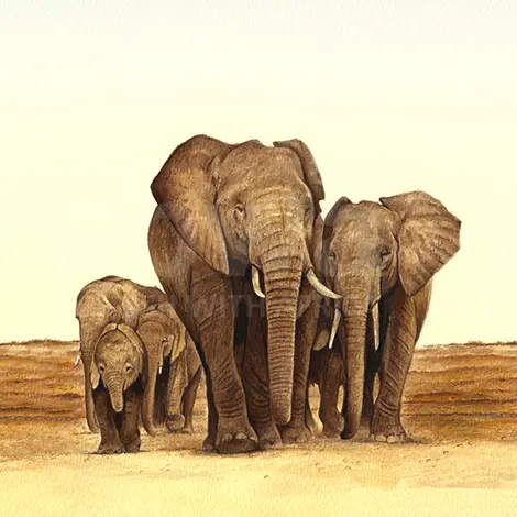 Browsing all Tea and Ochre