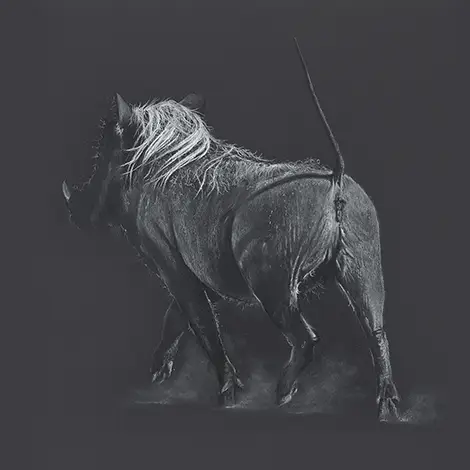 Browsing all Warthogs