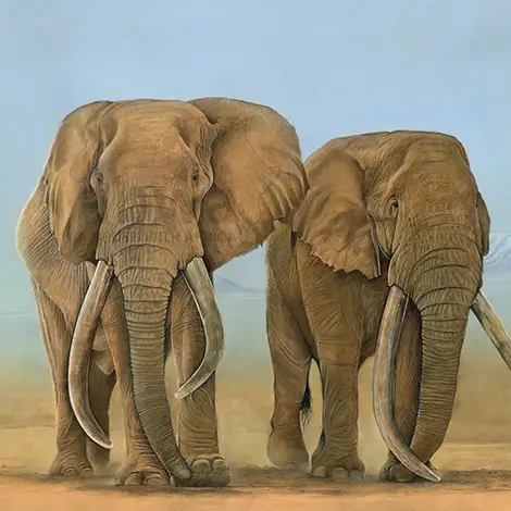 Browsing all Pastels