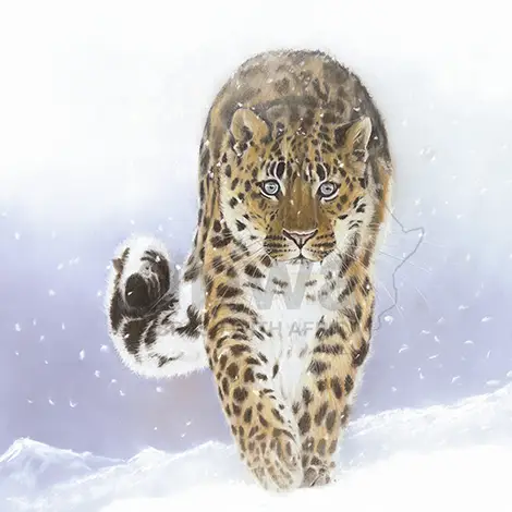 Browsing all Leopards of the World