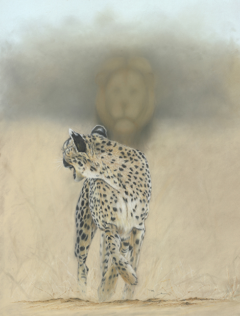 Browsing all Cheetahs