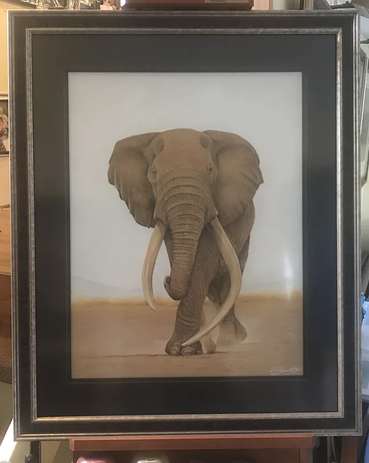 Framed, mounted and on dispaly at the Studio/Gallery Frame Size 27 X 33 inches