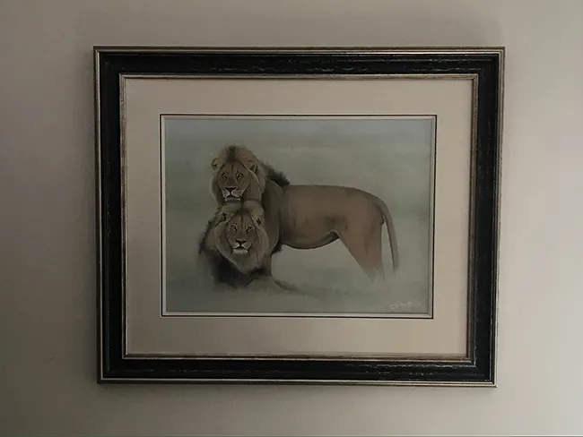 The finished image beautifully framed by Framers Gallery (Framed size 35in x 30in)