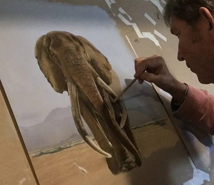 Simon sketching 'Craig's Companion' an image of one of the world's largest living super tuskers