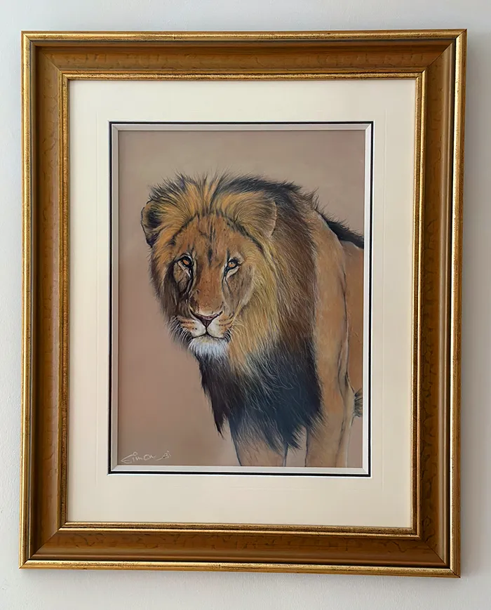 Beautifully framed by Framers Gallery Size 28in X 31in