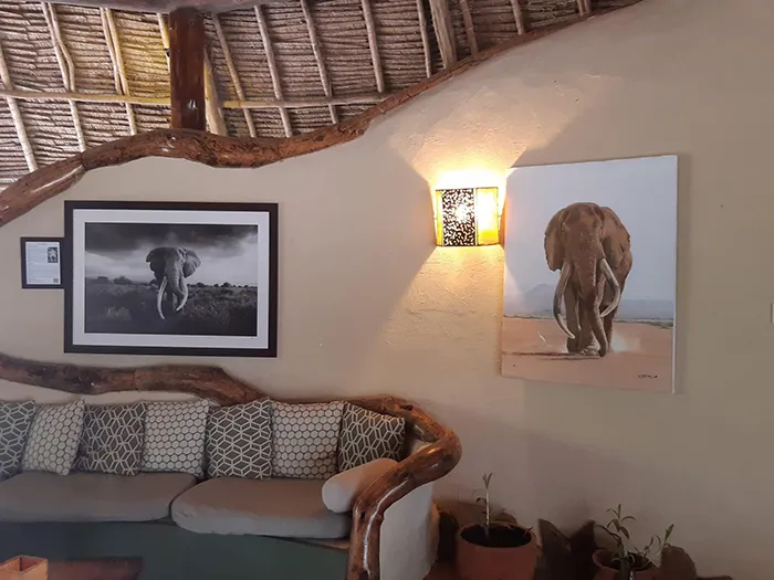 'Craig's Companion' is also displayed as a canvas next to a photograph of him