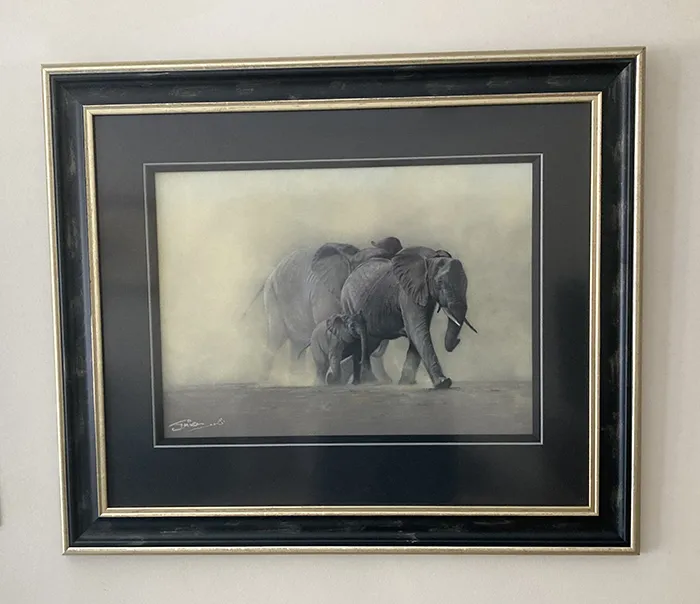 Beautifully framed by Framers Gallery Framed size 31in x 27in