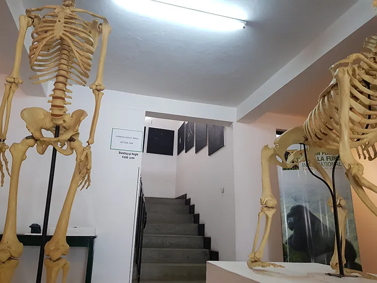 The artworks on display