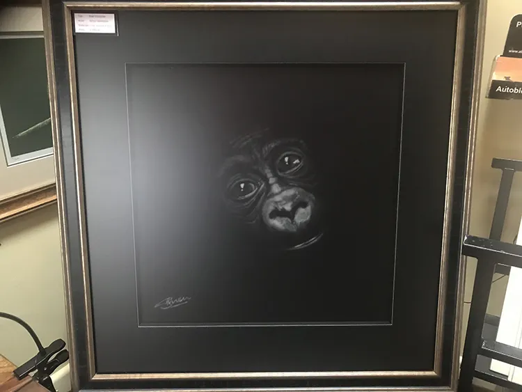 Mounted, Framed and on display on the Studio / gallery  Frame size 28in x 28in 