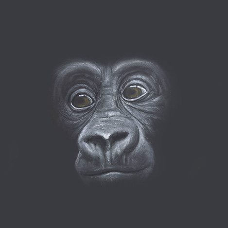 Penny for your thoughts