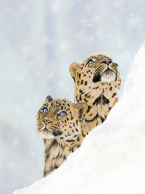 Catching snow flakes