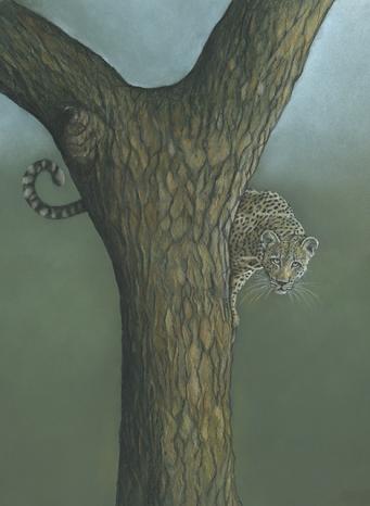 Scaredy Cat