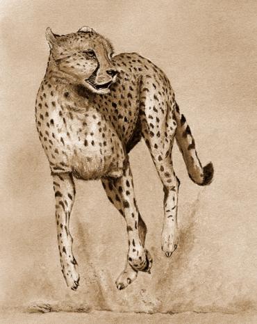 The Spotted Assassin
