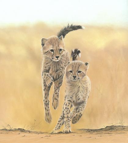 Rough and Tumble
