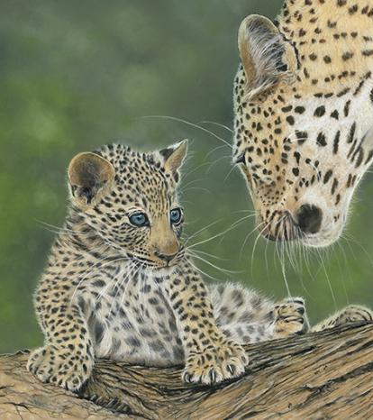 Paws n Claws