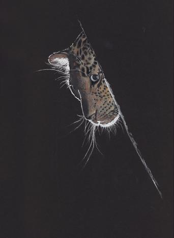The Glance