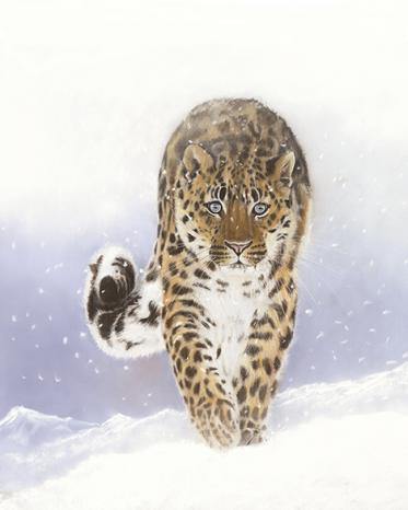 Out of the snow