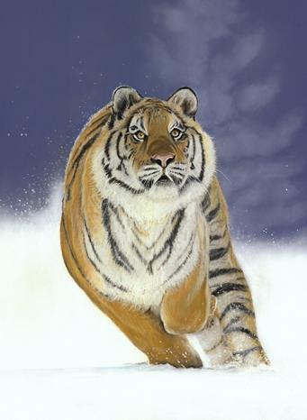 Snow Burst
