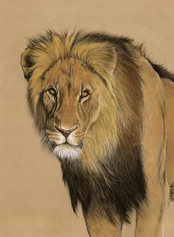 Simba Mzee