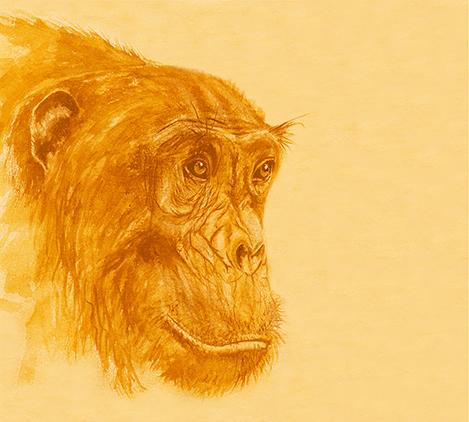 Darwinian
