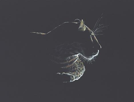 Night Watchman