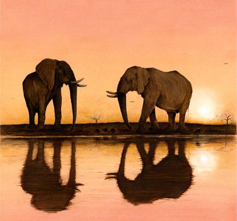Tusks at Dusk