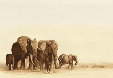 Crossing Paths