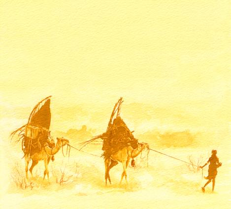 Desert Ships