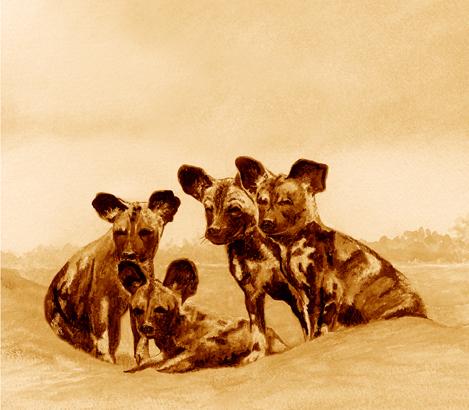 Painted Pups