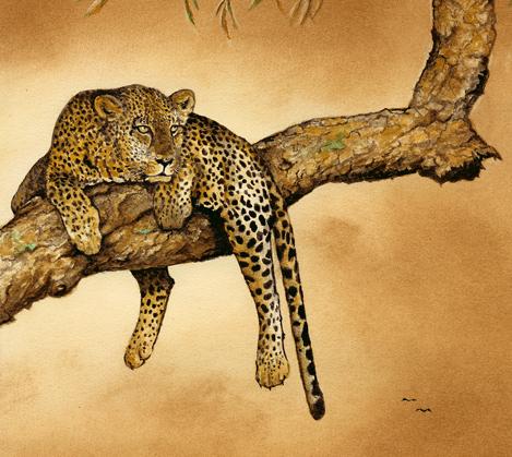 Peppertree Siesta