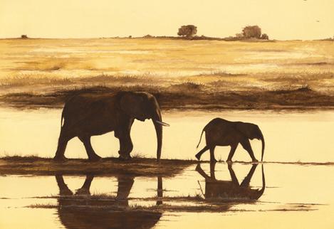 Sundowner Stroll
