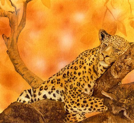 Out on a Limb