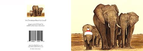 A Christmas Born to lead