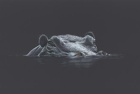 The Wallow