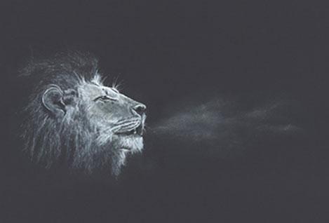 The Lions Call